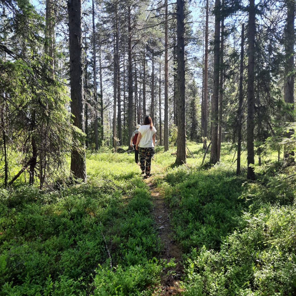 Peruttu. 23.-26.6.2025 Kesä keikkuen tulevi&nbsp;-retriitti